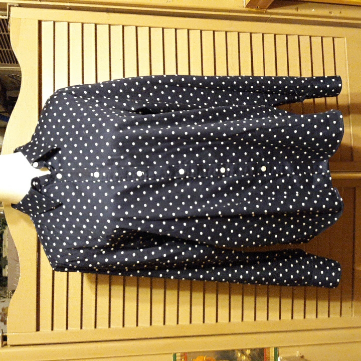 Chaps Button Down Blouse